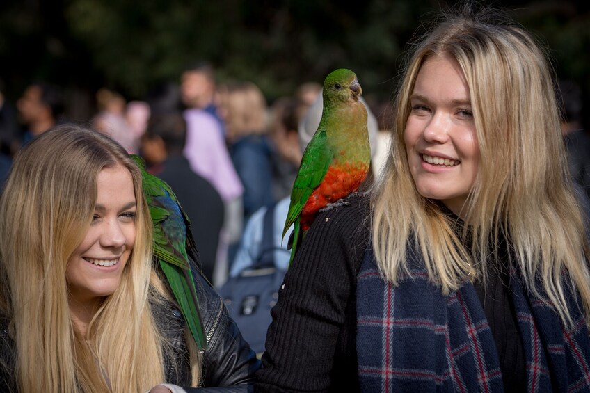 Reverse Great Ocean Road & Rainforest Tour with Lunch