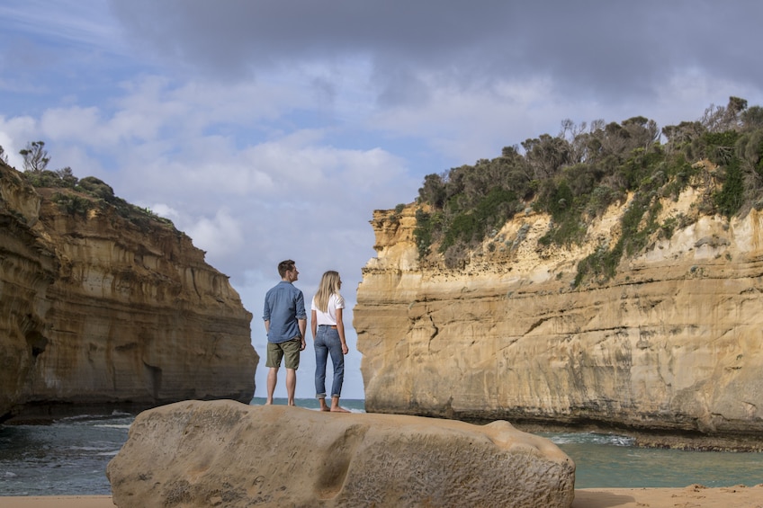 Reverse Great Ocean Road & Rainforest Tour with Lunch