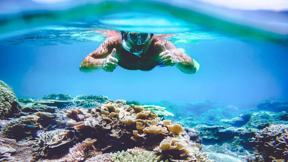 Surin Islands - The Snorkeling Experience from Phuket
