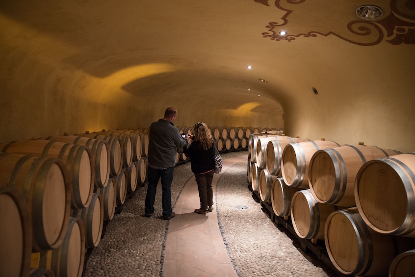 Wine Making Experience & Gourmet Dinner in a Tuscan Winery 