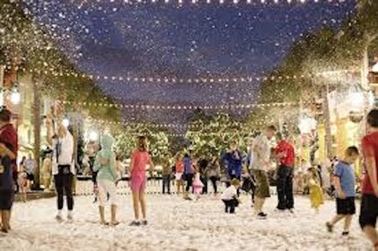 Snow, Ice and Gingerbread - an Orlando Style Holiday!