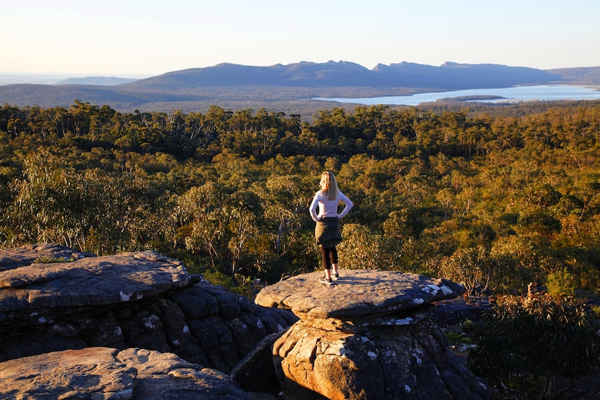 Melbourne to Adelaide Southern 2 Day Great Ocean Road Tour