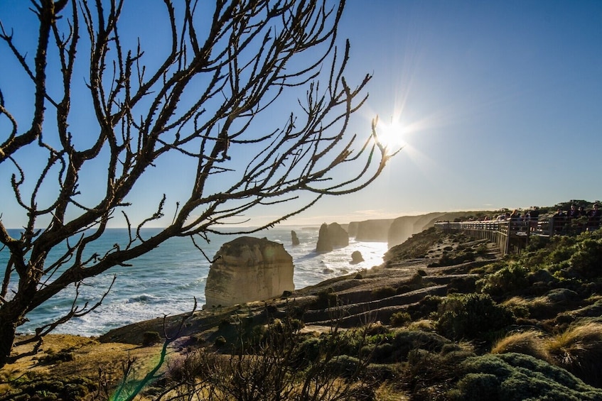 Great Ocean Road & Grampians 2 Day Regional Escape Tour