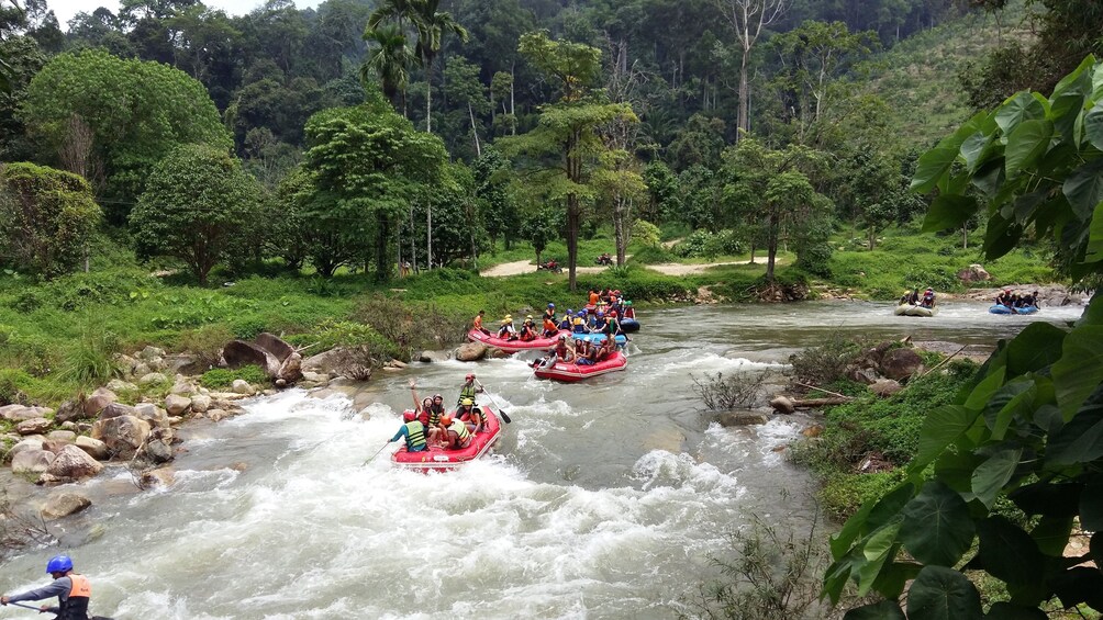 Whitewater Rafting at Pariwat Conservation Area, Phang Nga