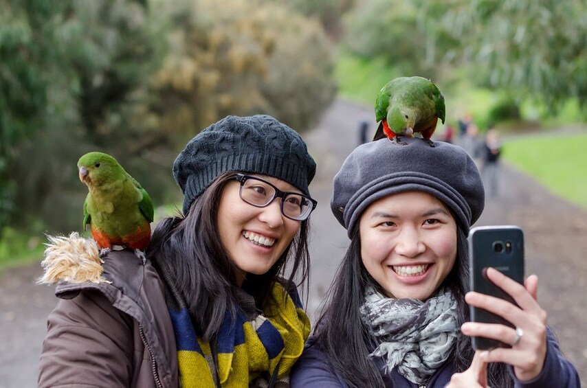 Two women pose with parrots and take a selfie