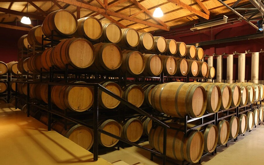 Mendoza winery 