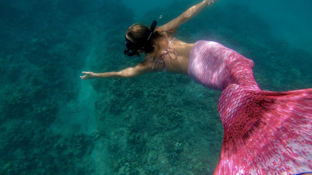 Mermaid Snorkel Tour and Photo Shoot Puerto Rico