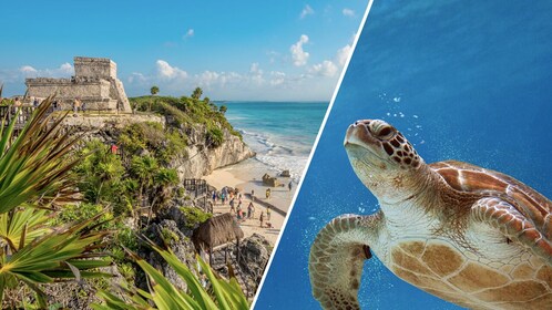Privé Tulum en snorkelen met zeeschildpadden