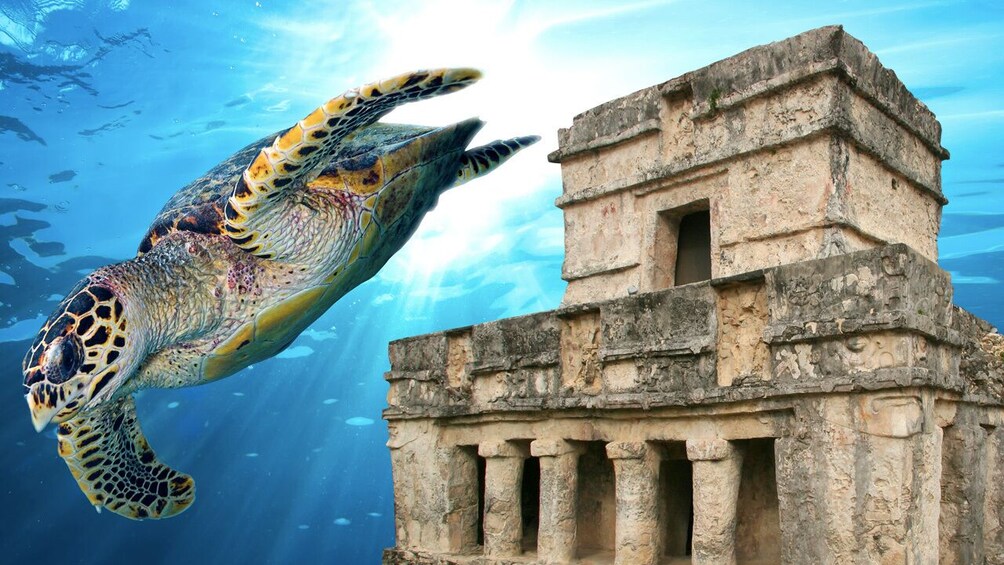 Private Tulum & Snorkel with Marine Turtles