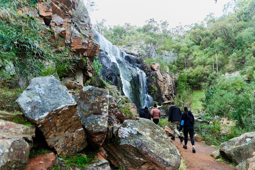 Grampians National Park Wildlife and Wilderness Escape Tour