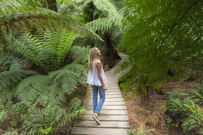 Great Ocean Road & Grampians 3 päivän Melbourne Loop Soft Adventure Tour -r...