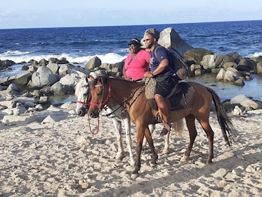 Parco nazionale del tramonto e spiaggia a cavallo