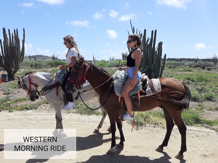 El Paseo Ranch Aruba Sunset Private Horseback Riding