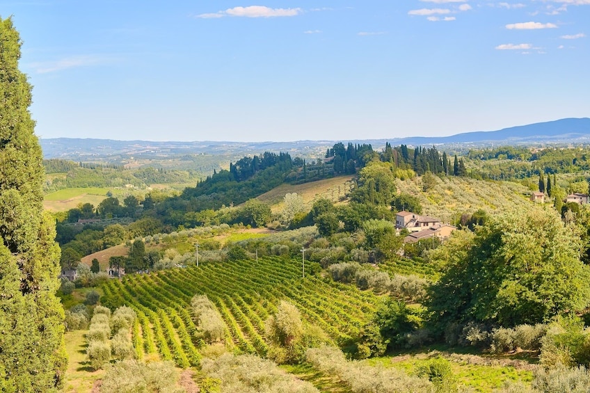 Siena, San Gimignano, Monteriggioni & Chianti from Florence