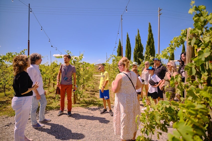 Siena, San Gimignano, Monteriggioni & Chianti from Florence