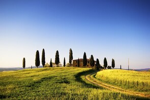 Siena, San Gimignano, Monteriggioni & Chianti from Florence