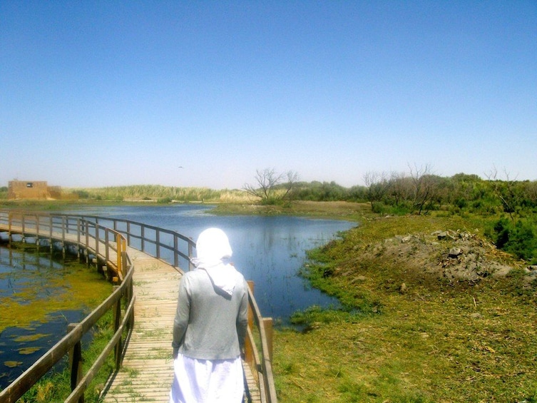 Private tour The Desert Castles and Azraq Oasis from Amman