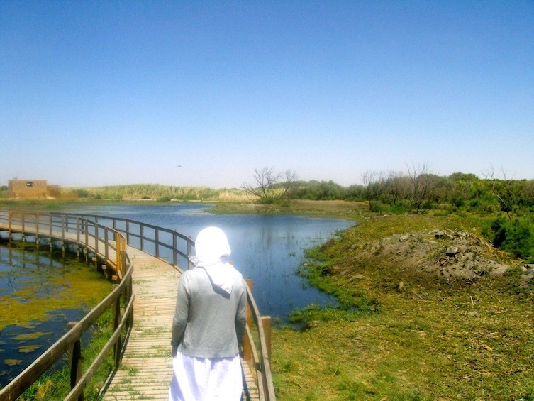 Private tour The Desert Castles and Azraq Oasis from Amman