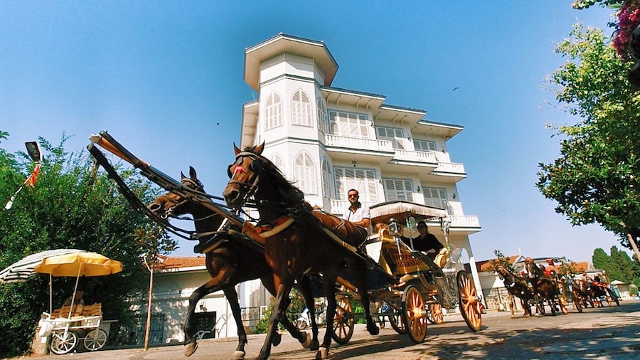 Horse and carriage on Büyükada Island