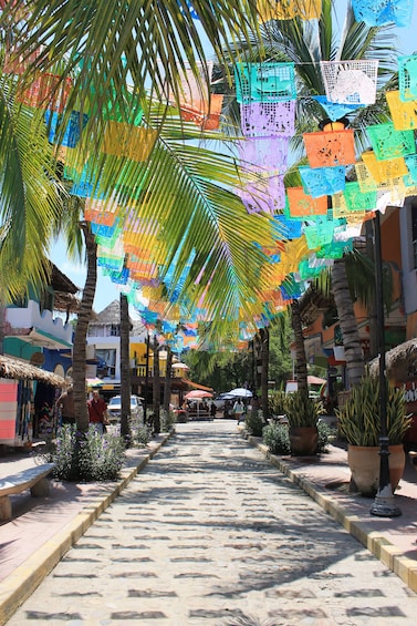 Sayulita and San Pancho Vibes