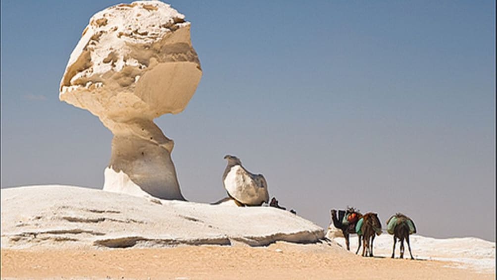 Private 2 Days White Desert and Bahariya Oasis Tour 