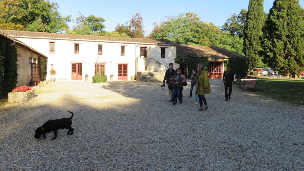 Tourists follow black dog across gravel driveway of chateau in Bordeaux, France