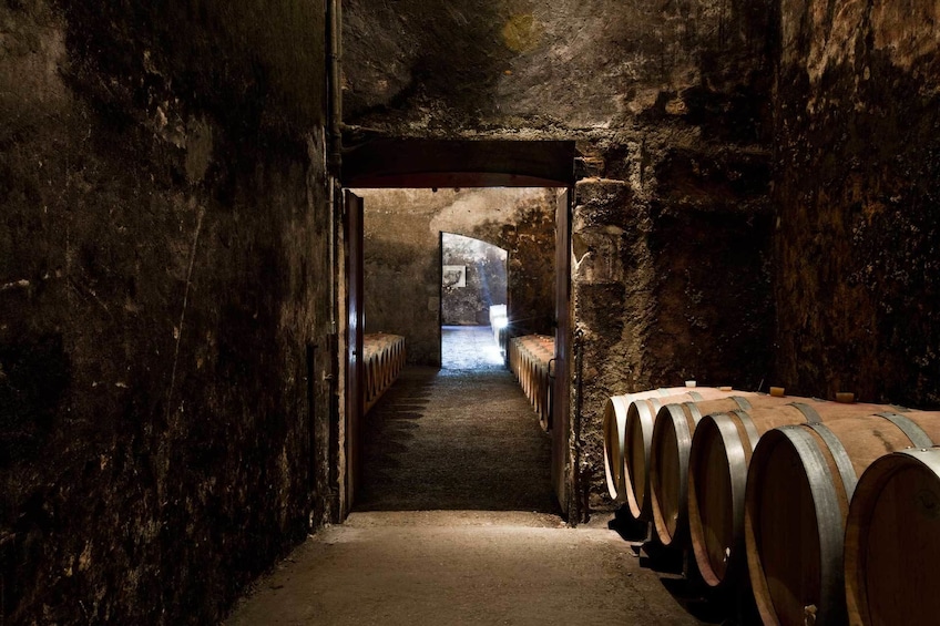 Dark cellar of Bordeaux chateau with line of wine barrels