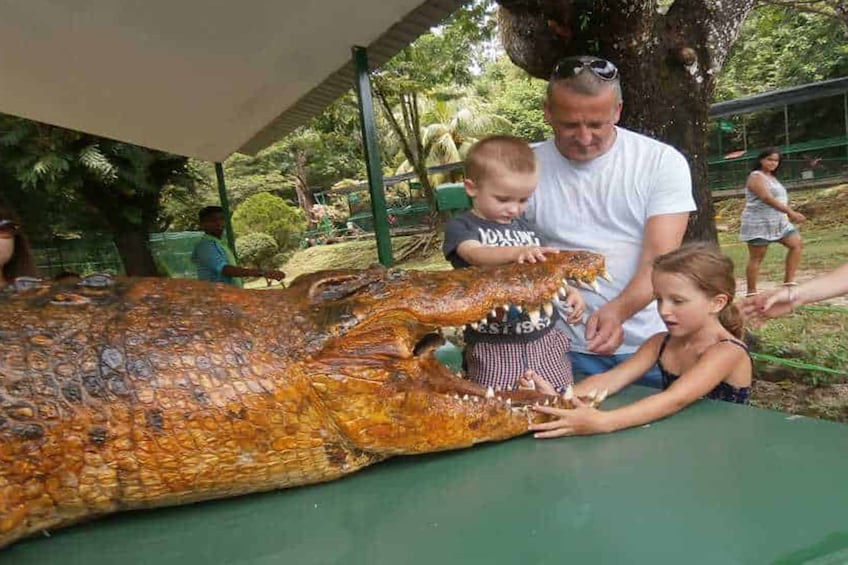 Show item 1 of 8. Crocodile Adventureland Langkawi Admission Ticket
