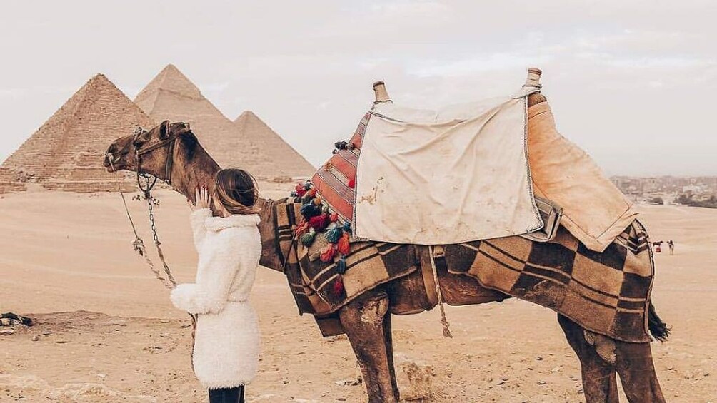 Giza Pyramids by Camel