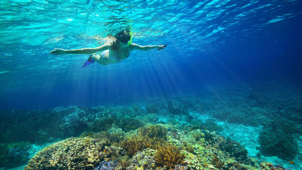 Guided Snorkeling Tour San Juan with Videos