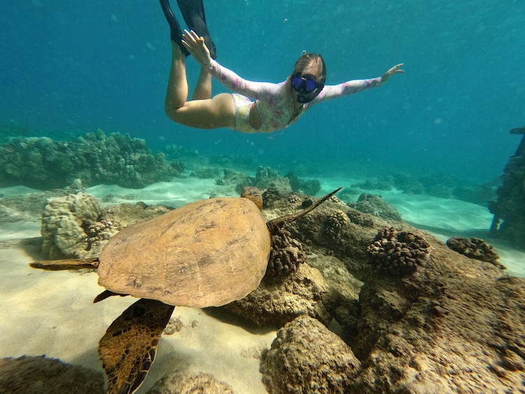 Snorkel with Turtles, San Juan with Videos