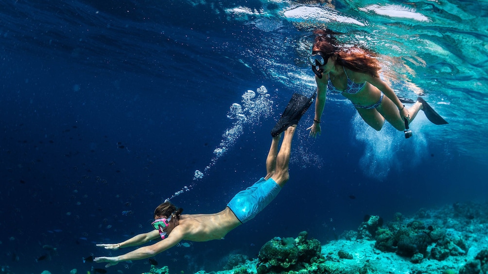 Guided Snorkeling Tour San Juan with Videos