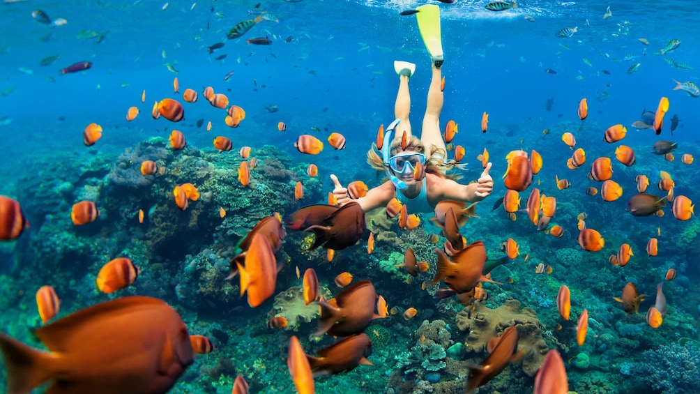 Guided Snorkeling Tour San Juan with Videos