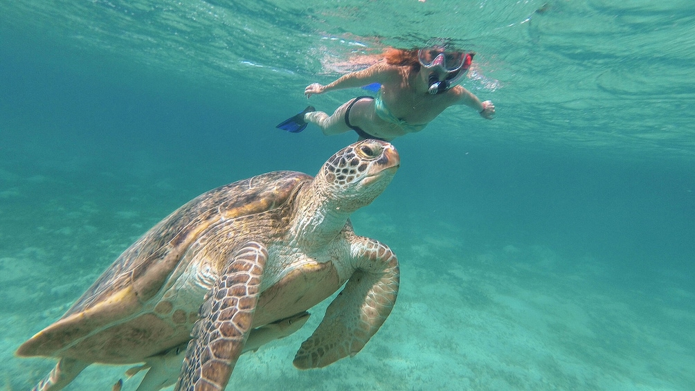 Guided Snorkeling Tour San Juan with Videos