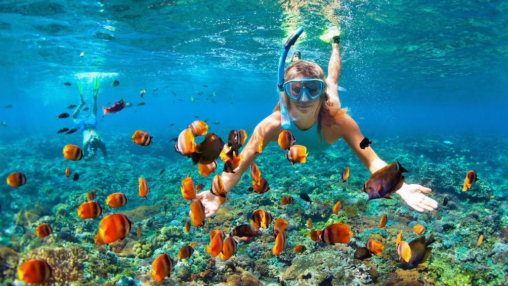 Guided Snorkeling Tour San Juan with Videos