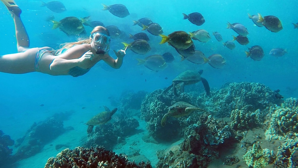 Woman snorkeling in Puerto Rico