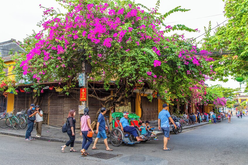 Half-day Hoi An Ancient Town Walking Tour from Da Nang