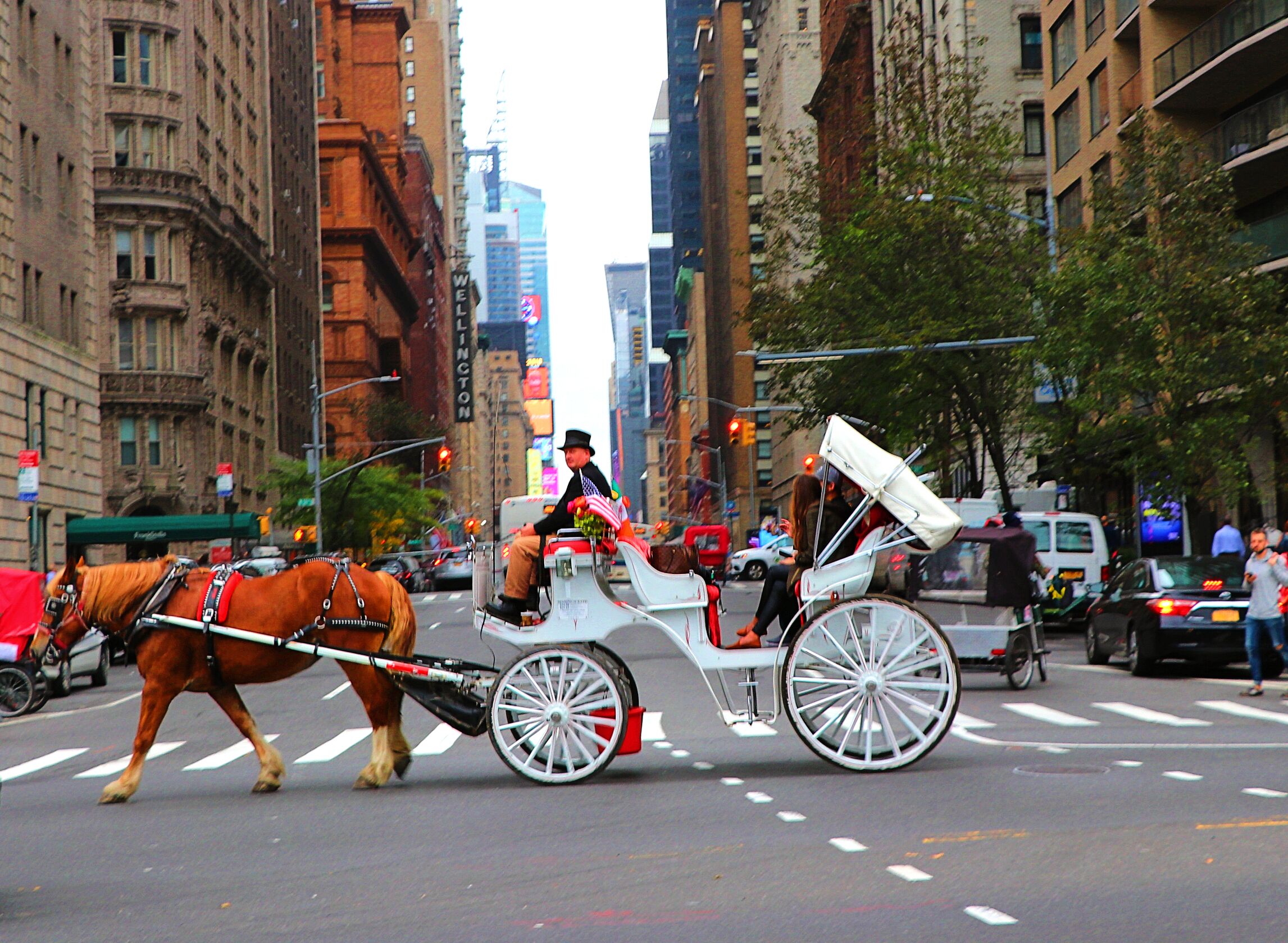 buggy nyc Cinosural International School