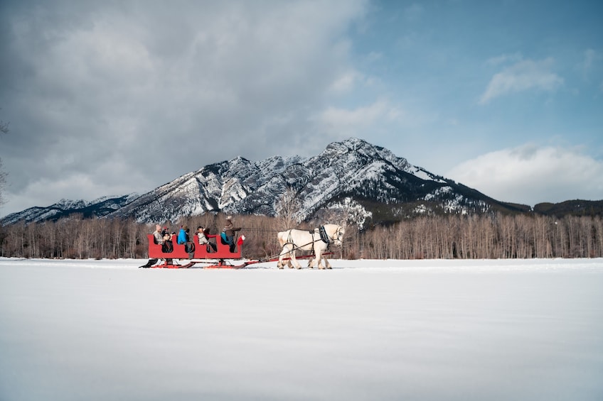 Horse-Drawn Sleigh Ride in Banff