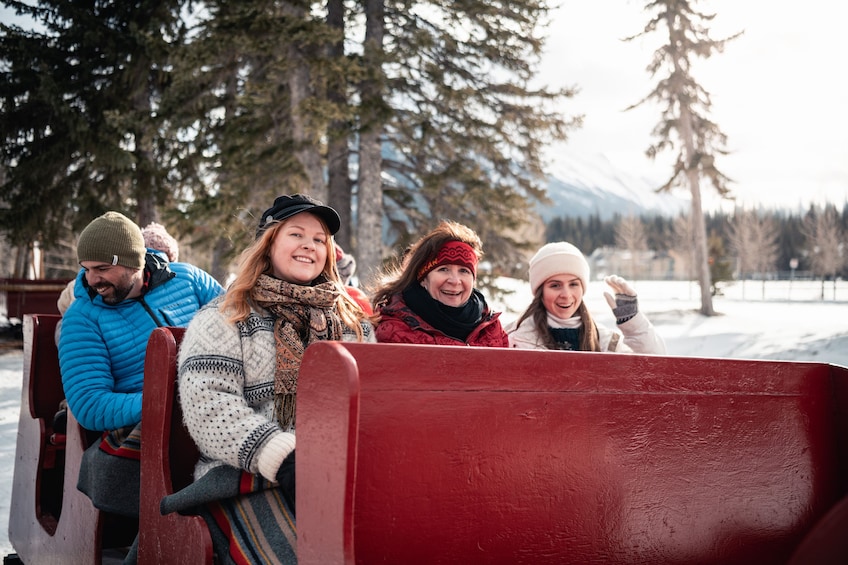 Horse-Drawn Sleigh Ride in Banff