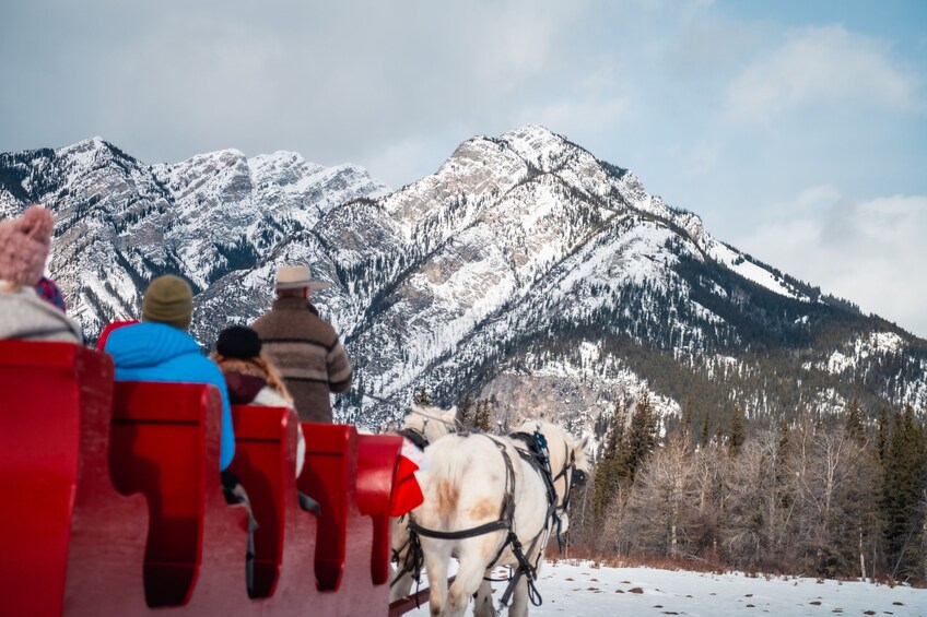 Horse-Drawn Sleigh Ride in Banff