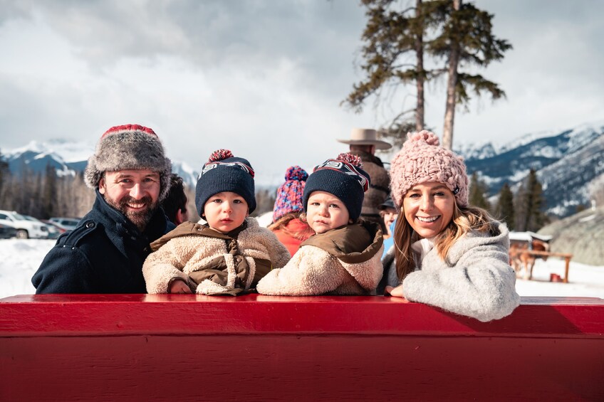 Horse-Drawn Sleigh Ride in Banff