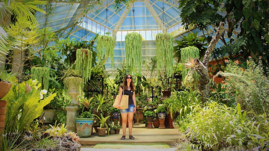 Botanical Garden, Tequila and Coffee Tour