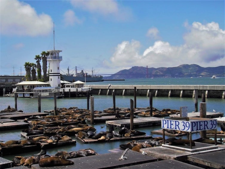 Fisherman's Wharf Walking Tour