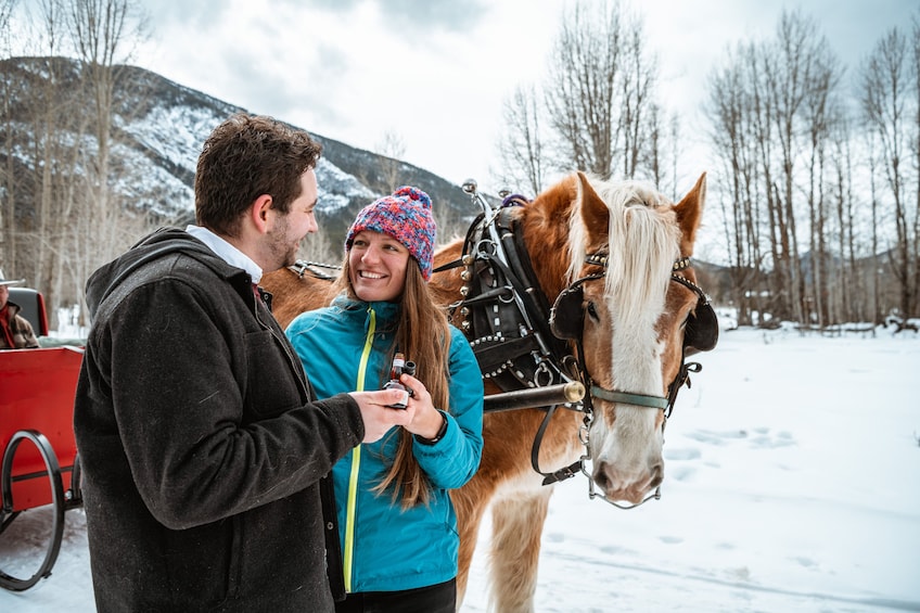 Private Horse-Drawn Sleigh Ride In Banff