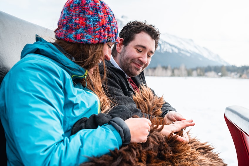 Private Horse-Drawn Sleigh Ride In Banff