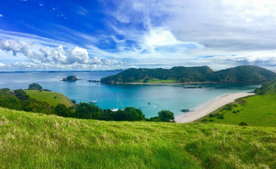 5 hour Bay of Islands Cruise and Island Tour