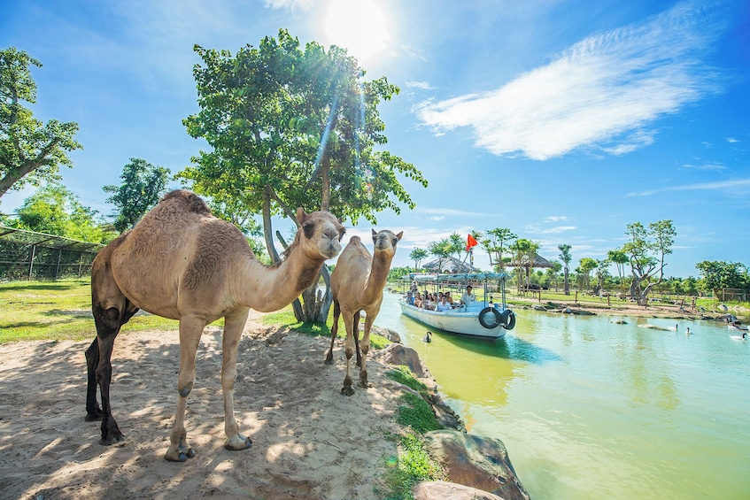 From Da Nang: River Safari With Candle-Lit Beach Dinner