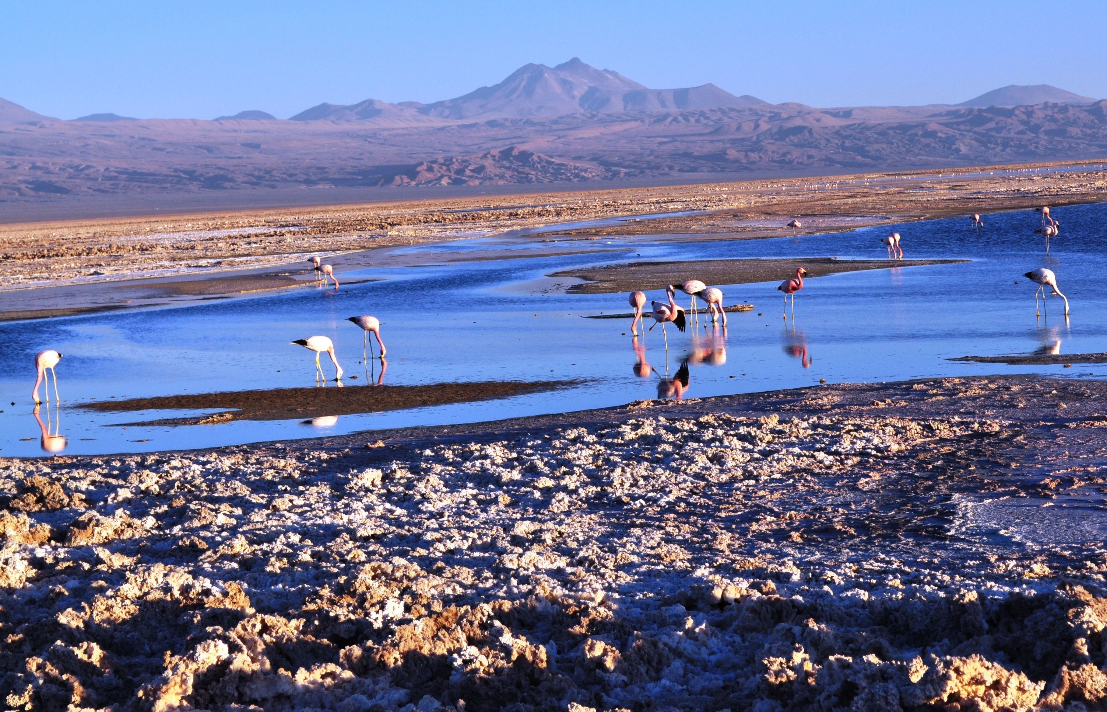 Atacama Salt Flat 