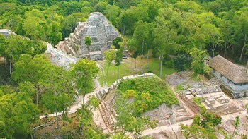 Yaxhá & Topoxte Full Day Tour (From Flores/Tikal)